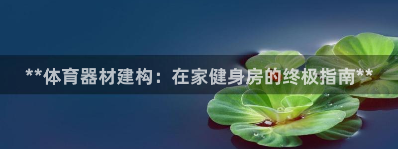 耀世啥意思：**体育器材建构：在家健身房的终极指南*
