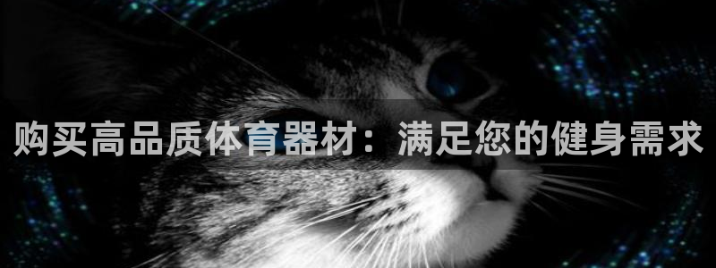 耀世娱乐能不能提现：购买高品质体育器材：满足您的健身