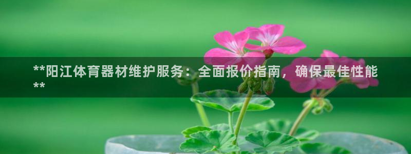 耀世娱乐怎么样：**阳江体育器材维护服务：全面报价指