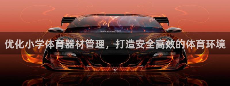 耀世平台代理注册登录失败：优化小学体育器材管理，打造