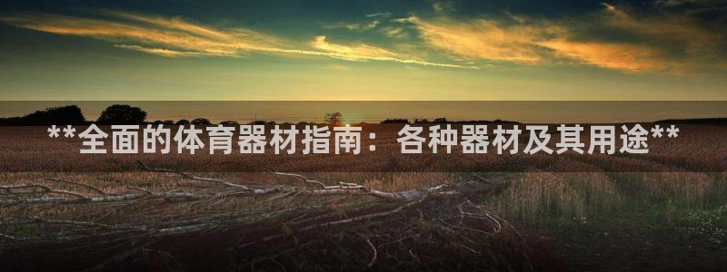 耀世娱乐在线登录官网入口：**全面的体育器材指南：各