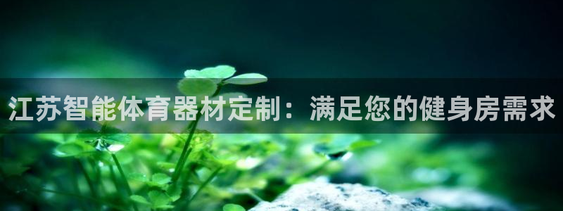 耀世平台将7O777：江苏智能体育器材定制：满足您的