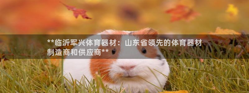 耀世平台华 5O6917 平台：**临沂军兴体育器材