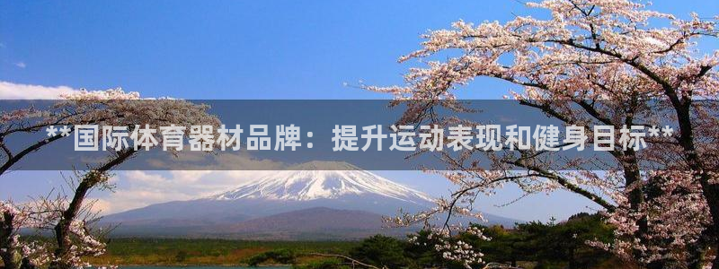 耀世平台主管代理怎么做：**国际体育器材品牌：提升运