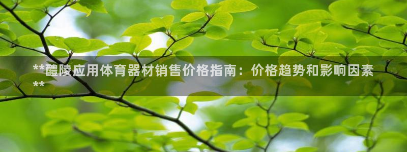 耀世娱乐是不是很黑暗：**醴陵应用体育器材销售价格指
