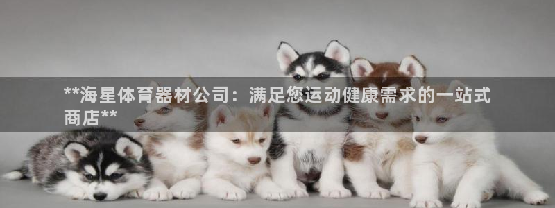 耀世成语：**海星体育器材公司：满足您运动健康需求的
