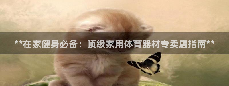 耀世天下图片头像：**在家健身必备：顶级家用体育器材