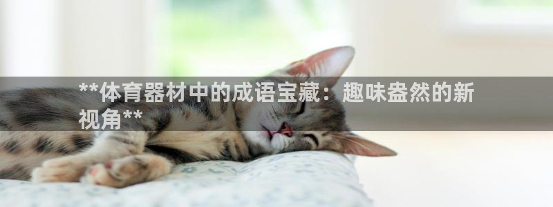 耀世璀璨什么意思：**体育器材中的成语宝藏：趣味盎然