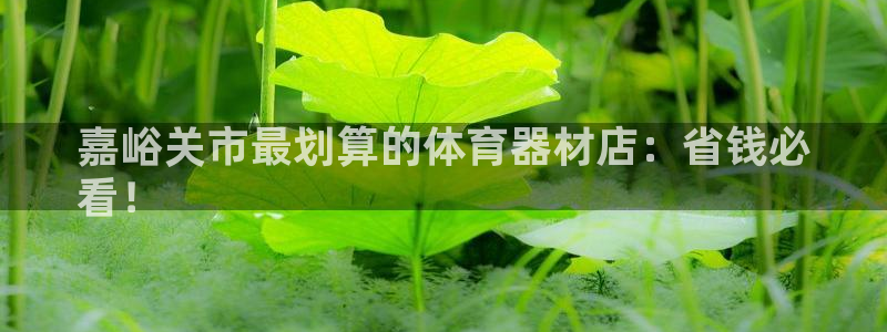 耀世平台是黑台子吗知乎：嘉峪关市最划算的体育器材店：