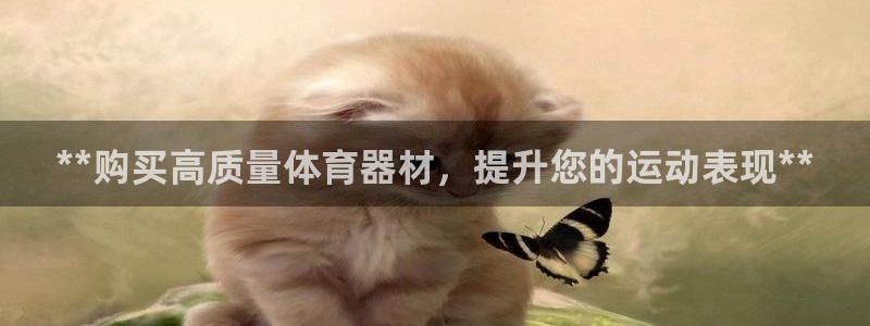 耀世娱乐注册入口：**购买高质量体育器材，提升您的运