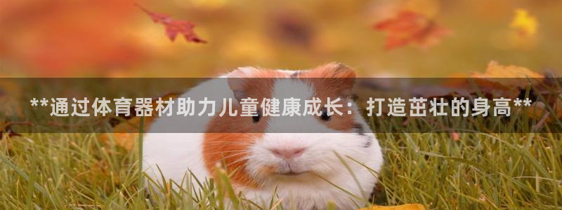 耀世国际平台正规吗可靠吗可信吗：**通过体育器材助力