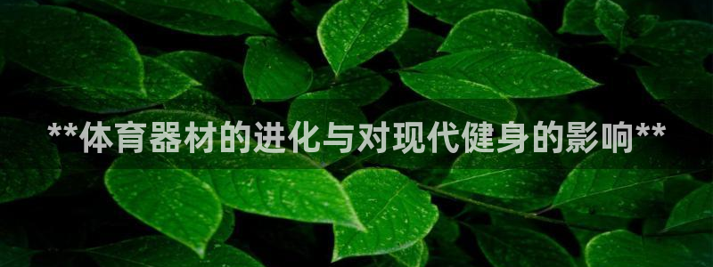 耀世娱乐平台注册登录失败：**体育器材的进化与对现代