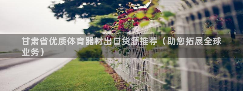 耀世集团是干嘛的：甘肃省优质体育器材出口货源推荐（助