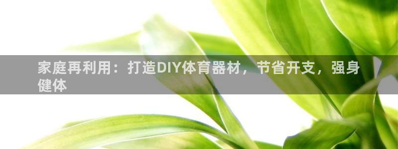 耀世平台注册步骤图片：家庭再利用：打造DIY体育器材