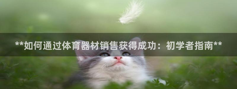 耀世平台升 5O6917 平台：**如何通过体育器材