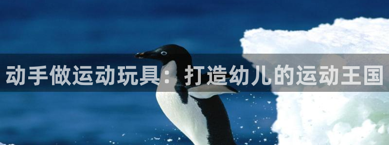 耀世集团王大聪简介：动手做运动玩具：打造幼儿的运动王
