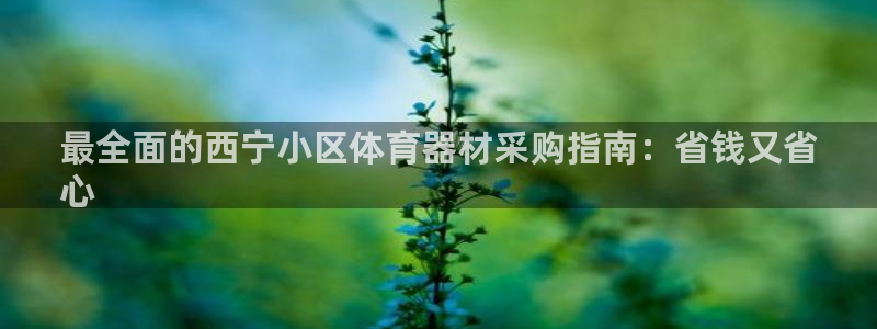 耀世娱乐脚本下载官网：最全面的西宁小区体育器材采购指