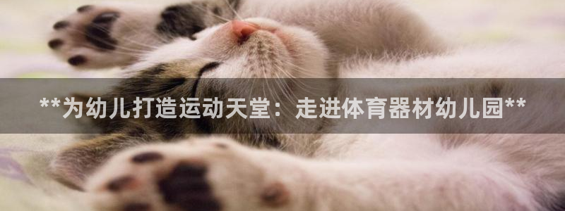耀世娱乐注册官网账号：**为幼儿打造运动天堂：走进体