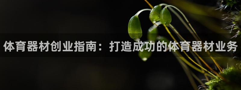 耀世开业：体育器材创业指南：打造成功的体育器材业务