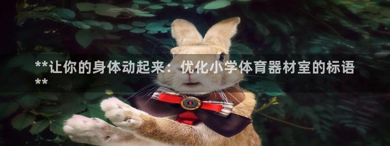 耀世游戏：**让你的身体动起来：优化小学体育器材室的