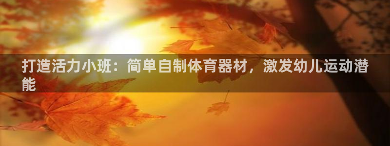 耀世盛典手游下载官网：打造活力小班：简单自制体育器材