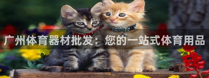 耀世娱乐官网网站首页：广州体育器材批发：您的一站式体