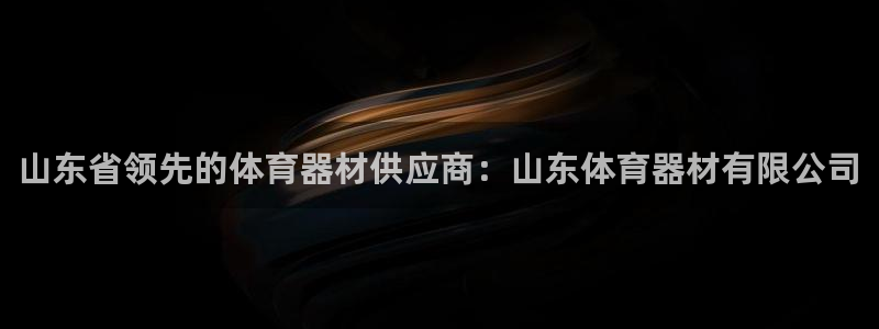 耀世娱乐平台官网登录入口手机版：山东省领先的体育器材