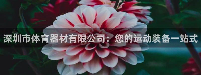 耀世平台找 5O6917 平台：深圳市体育器材有限公