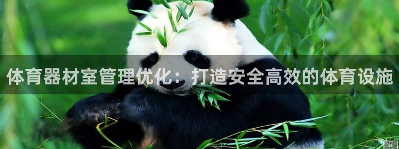 耀世盛典手游下载：体育器材室管理优化：打造安全高效的