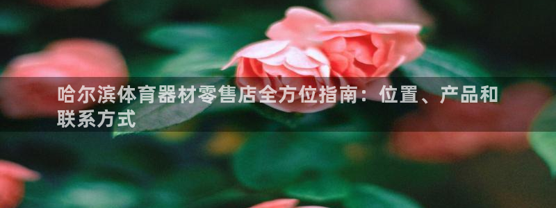 耀世平台开户：哈尔滨体育器材零售店全方位指南：位置、