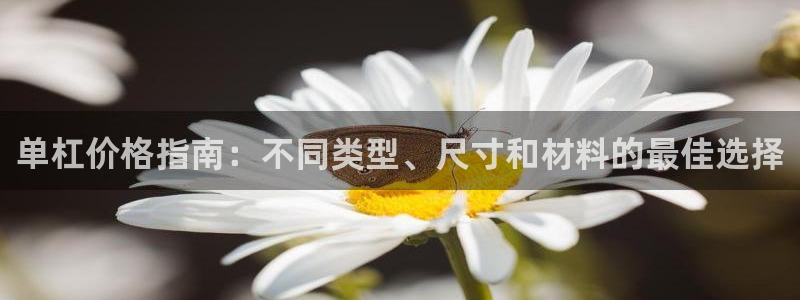 耀世娱乐客服电话是多少：单杠价格指南：不同类型、尺寸