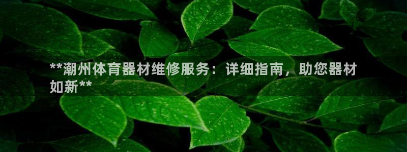 耀世平台有很多登录地址怎么办：**潮州体育器材维修服