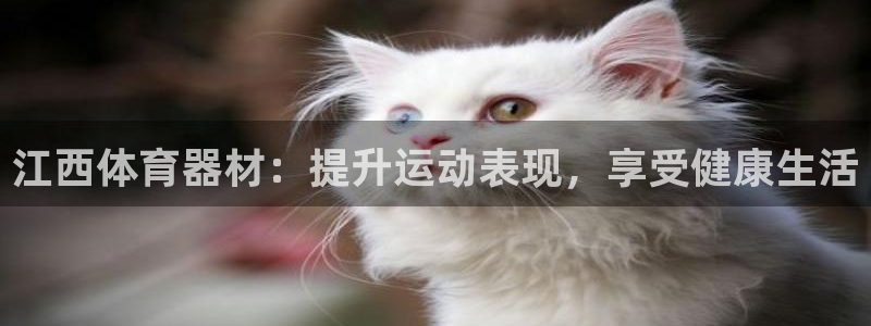 耀世集团是干嘛的企业：江西体育器材：提升运动表现，享