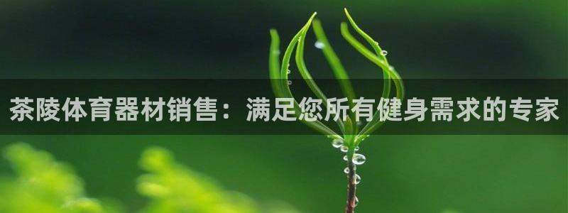 耀世平台的运营模式有哪些：茶陵体育器材销售：满足您所