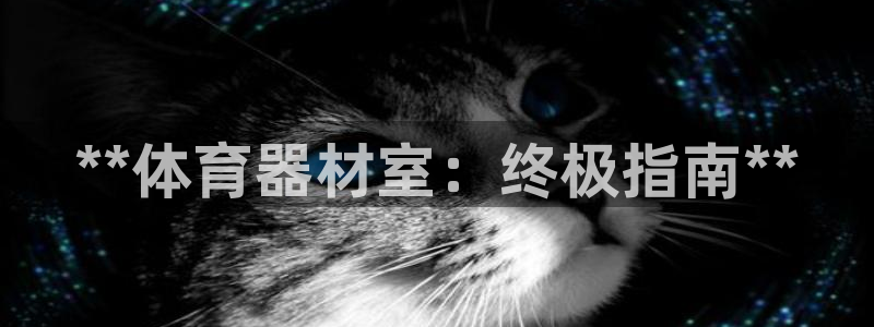 耀世娱乐代理什么待遇：**体育器材室：终极指南**