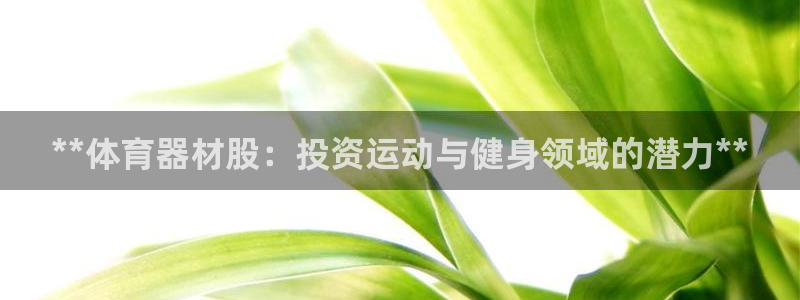 耀世盛典官网入口：**体育器材股：投资运动与健身领域
