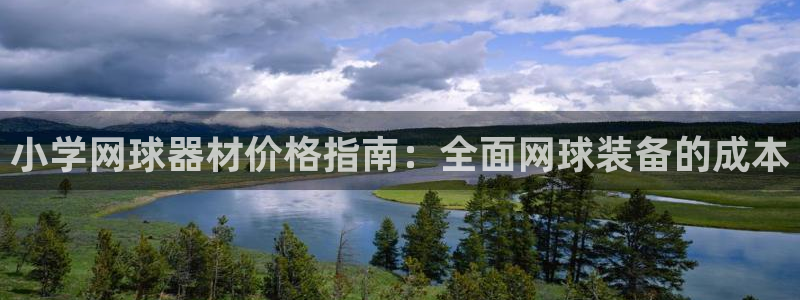 六星耀世什么意思：小学网球器材价格指南：全面网球装备