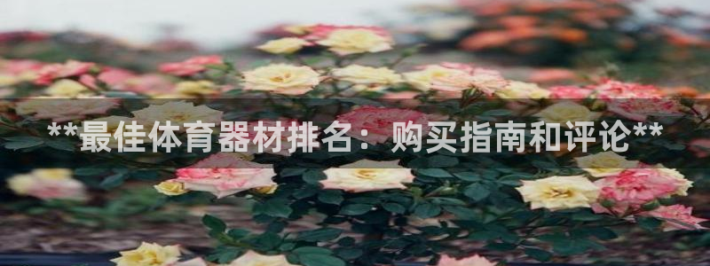 四川耀世发展集团：**最佳体育器材排名：购买指南和评