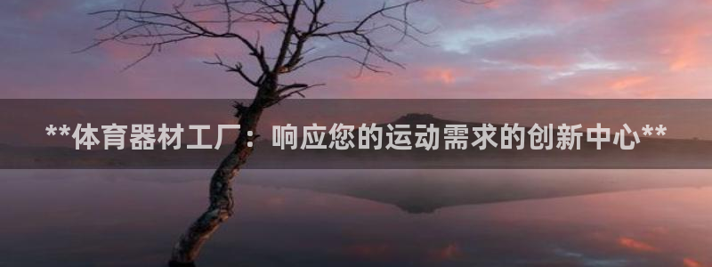耀世集团视频介绍大全：**体育器材工厂：响应您的运动