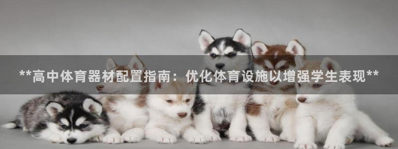 哪吒s耀世版价格：**高中体育器材配置指南：优化体育