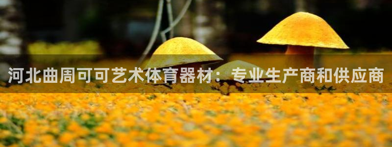 耀世娱乐黑钱吗知乎：河北曲周可可艺术体育器材：专业生