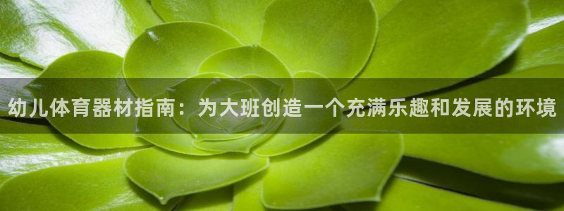 耀世娱乐脚本下载：幼儿体育器材指南：为大班创造一个充