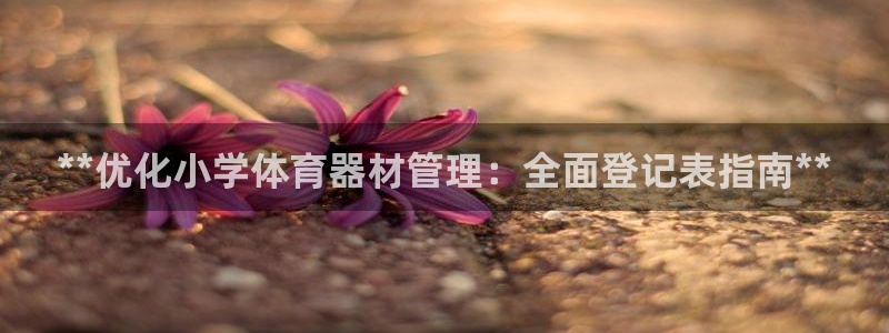 耀世娱乐是不是赚钱：**优化小学体育器材管理：全面登