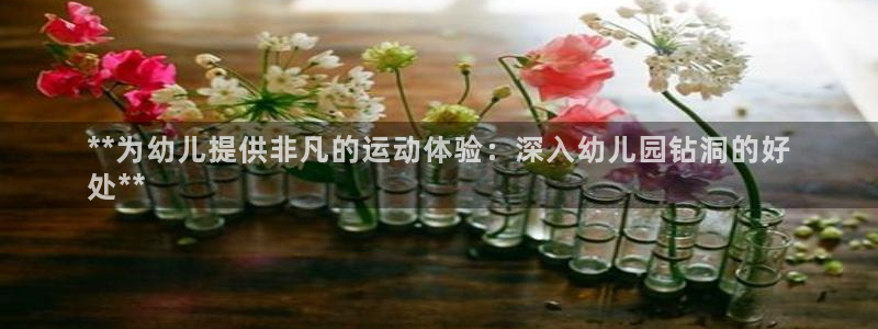 耀世天下的网名是什么意思啊男生：**为幼儿提供非凡的