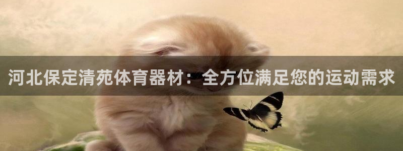 耀世天下图片：河北保定清苑体育器材：全方位满足您的运动需求