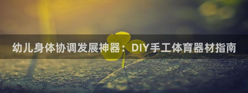 耀世集团王总：幼儿身体协调发展神器：DIY手工体育器