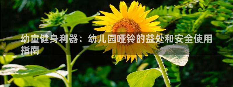 耀世娱乐安全吗可信吗：幼童健身利器：幼儿园哑铃的益处
