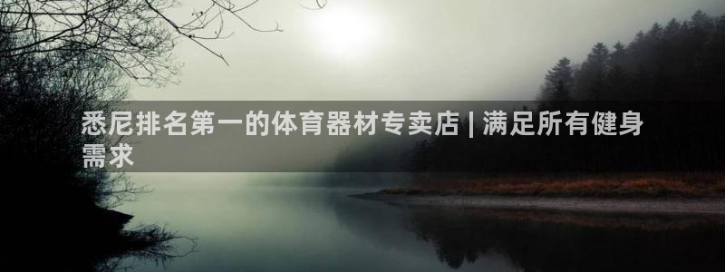 耀世是什么车：悉尼排名第一的体育器材专卖店 | 满足