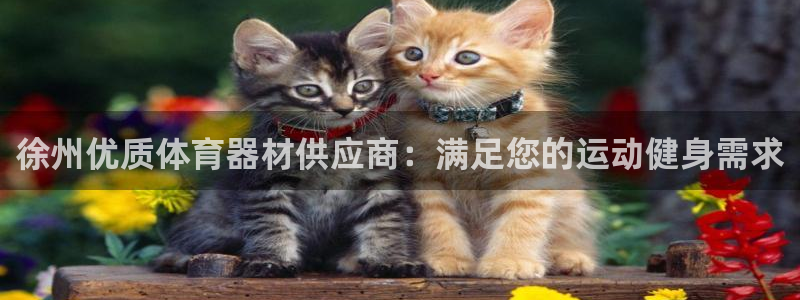 耀世娱乐平台官网登录入口：徐州优质体育器材供应商：满