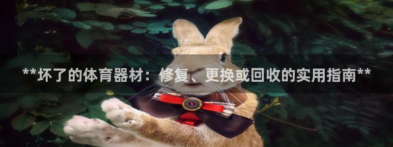 耀世天下的意思：**坏了的体育器材：修复、更换或回收的实用指